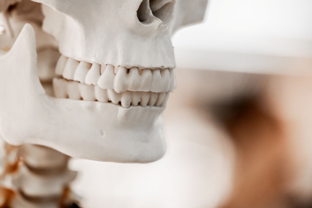 TMJ treatment in Austin TX at 12 Oaks Integrative Dentistry